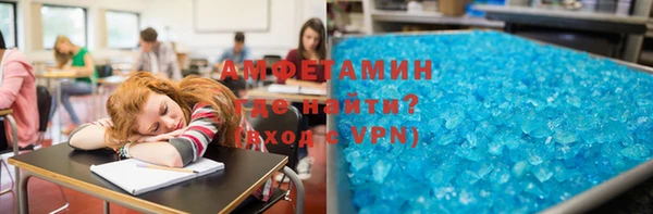прущие грибы Рославль