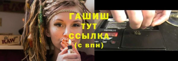 прущие грибы Рославль