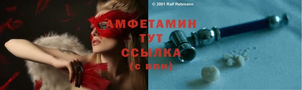 ПСИЛОЦИБИНОВЫЕ ГРИБЫ Абаза
