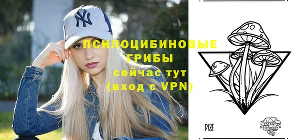 прущие грибы Рославль